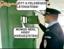 Feleség látogatás 