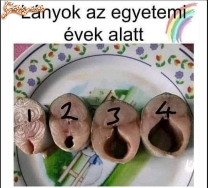 Lányok az egyetemi évek alatt :)