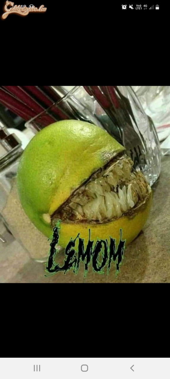 Lemom