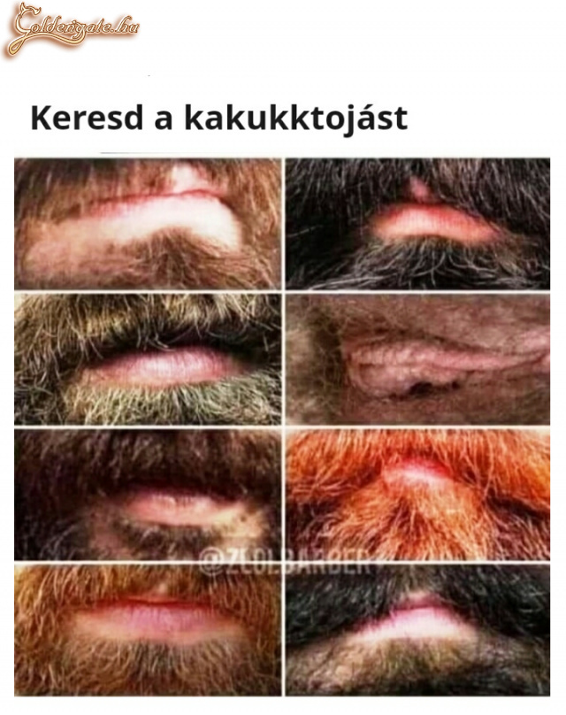 Kakukktojás