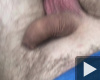 Próba 3