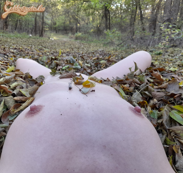 Bakot nem lőttem, csak pár képet - 35. kép