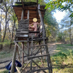 Bakot nem lőttem, csak pár képet - 17. kép