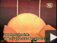 Anyázás