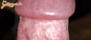 Makrókedvelőknek - 3. kép