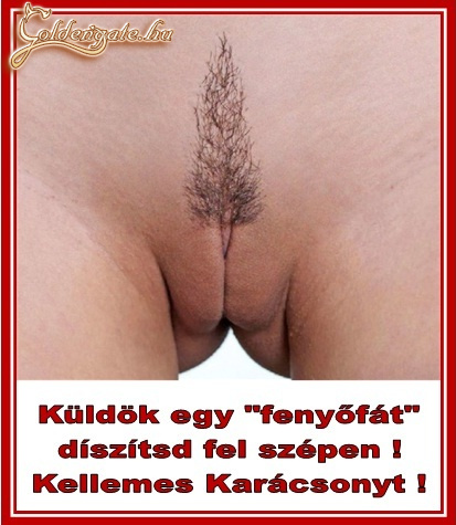 "fenyőfa"