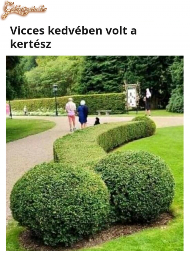 Fasza kertész