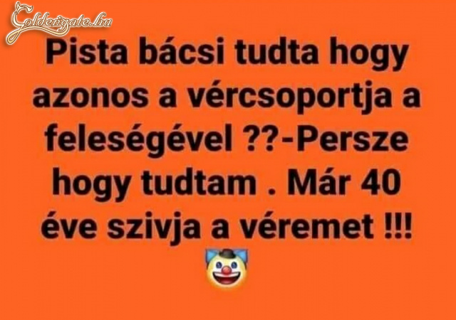 Azonos vércsoport