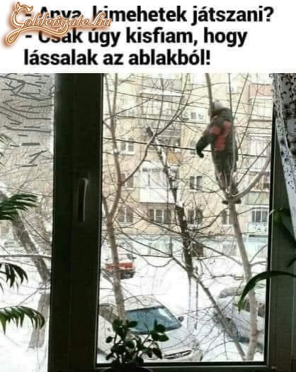 Fő a biztonság 