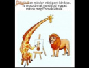 Nézőpont kérdése