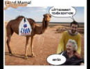 Te vén szatyor