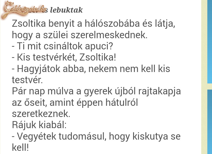 Kiskutya sem kell