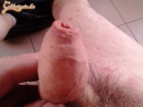 vegyes képek - 2. kép