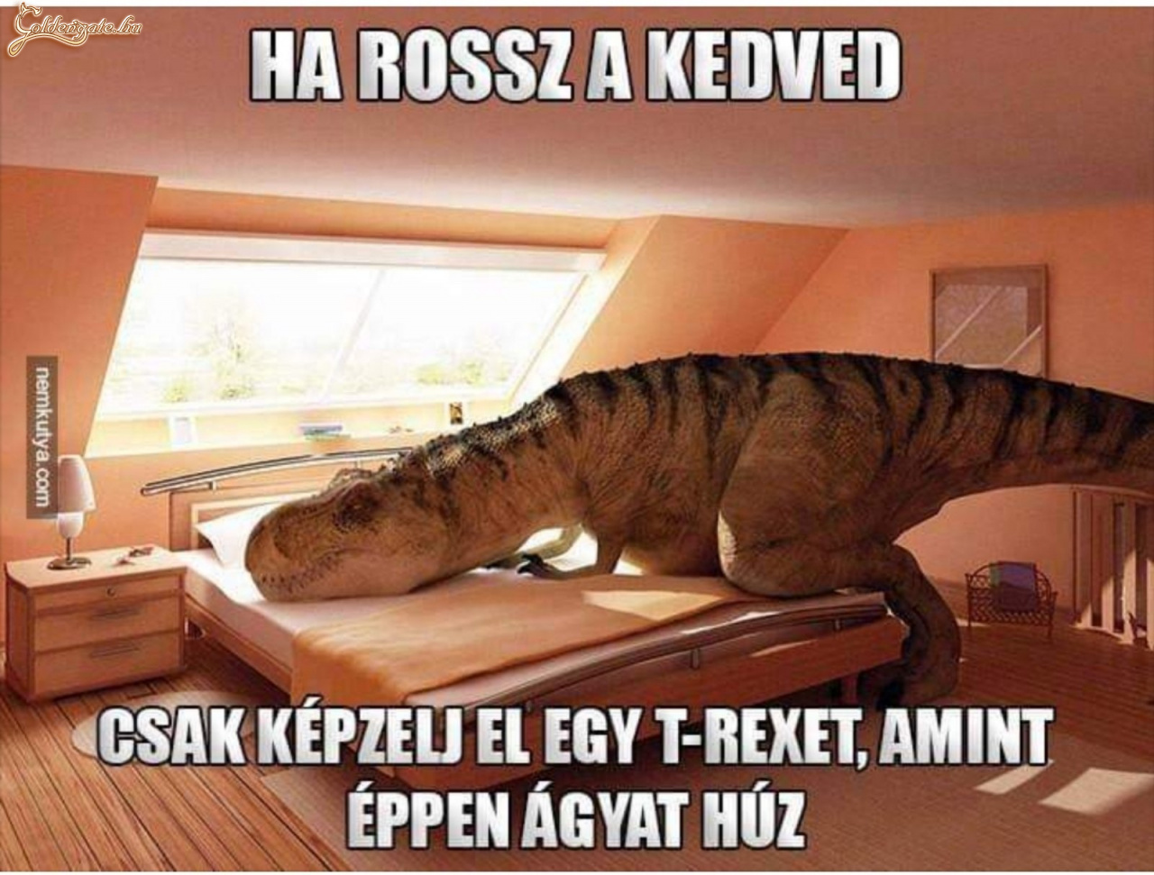 Ha rossza kedved :)