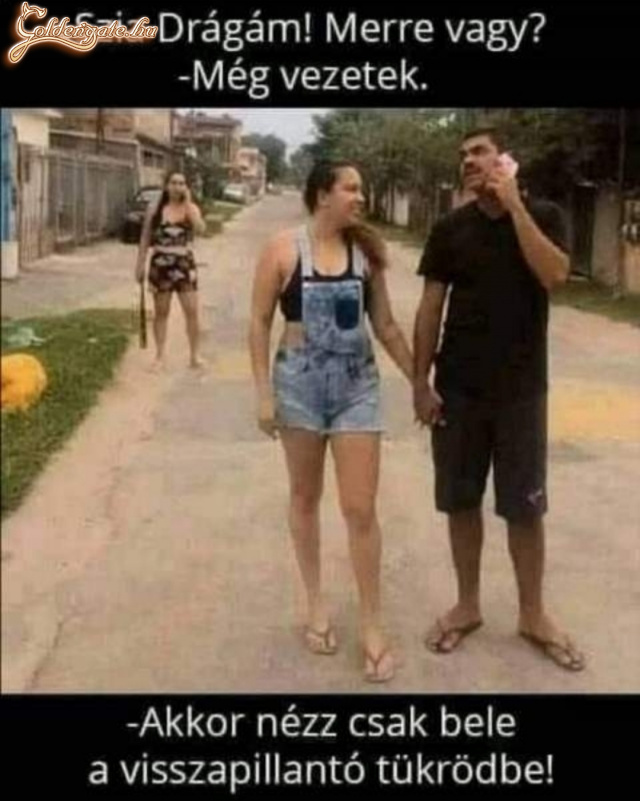 Visszapillantó