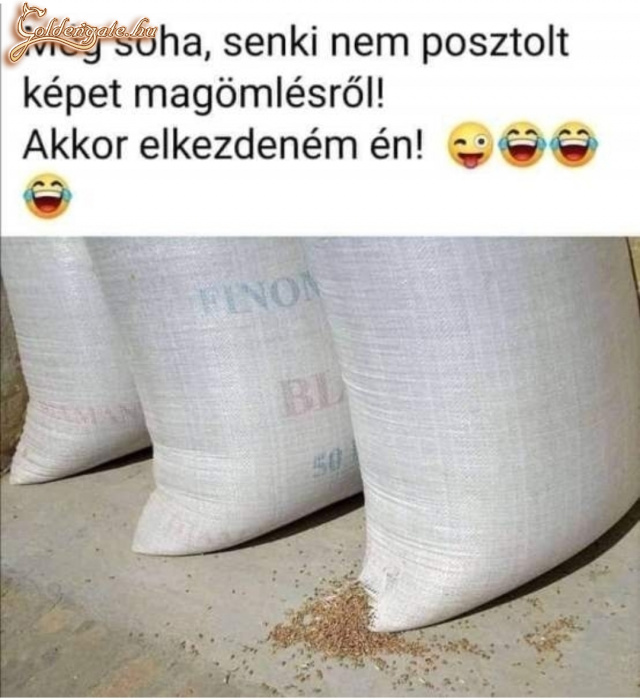 Magömlés
