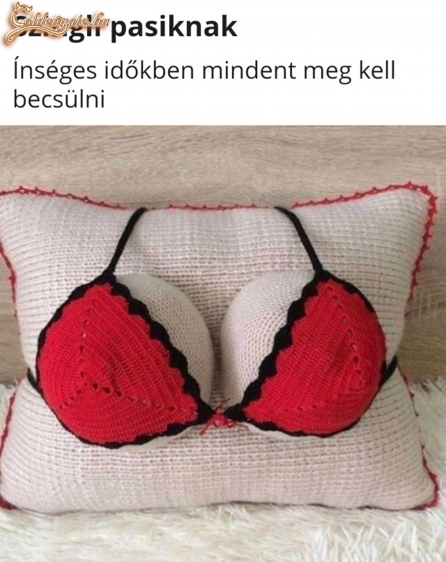 Szingli pasiknak
