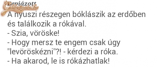 Nyuszika bepiált