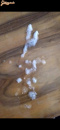 spricc - 2. kép