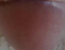 puncis