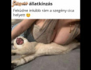 :)