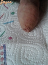 vegyes képek - 7. kép