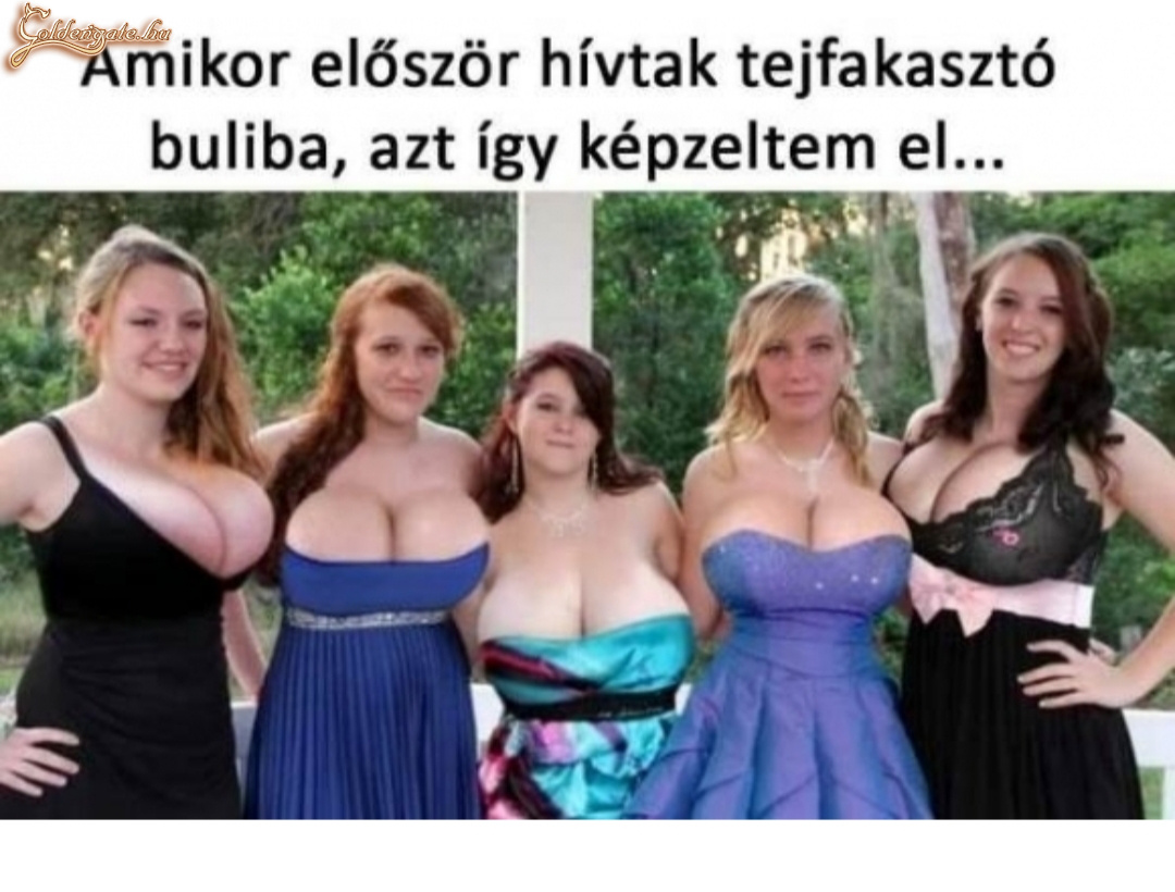 Tejfakasztó buli