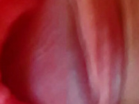 vegyes képek