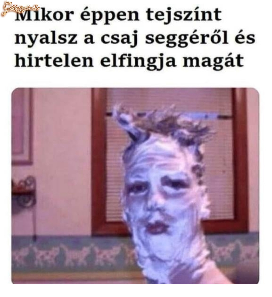 Tejszínhab baleset