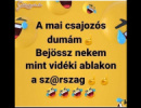 Mai csajozós duma 