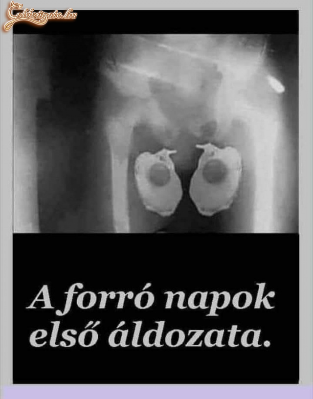 A forró napok első áldozata