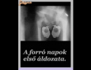 A forró napok első áldozata