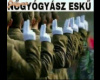 Nőgyógyász eskü
