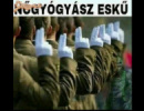 Nőgyógyász eskü