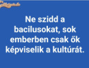 Az élet nagy igazságai