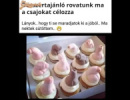 Süti
