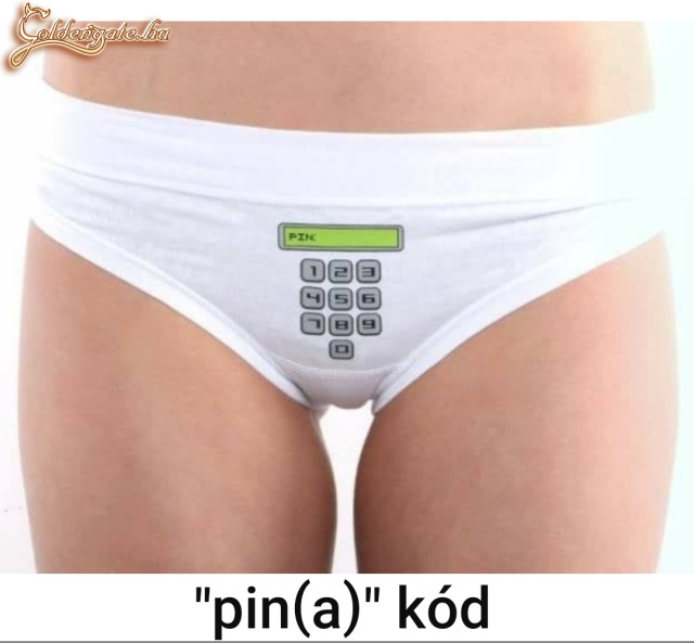 Pinakód