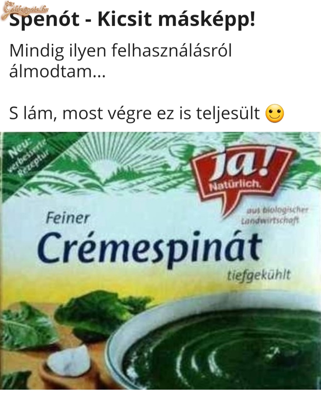 Spenót
