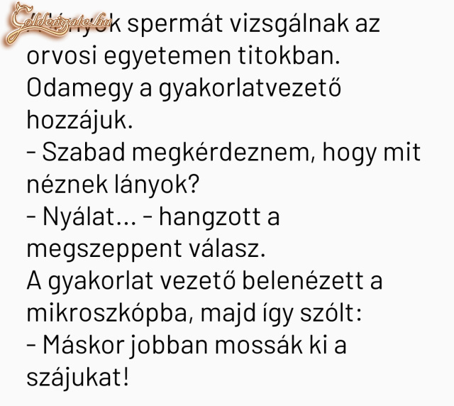 Bukta