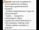 Bukta
