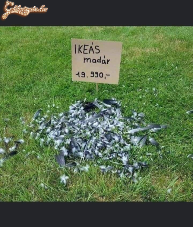 Összerakod?