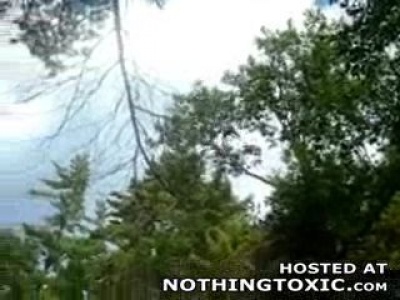 Ezt még Tarzan is megirigyelné