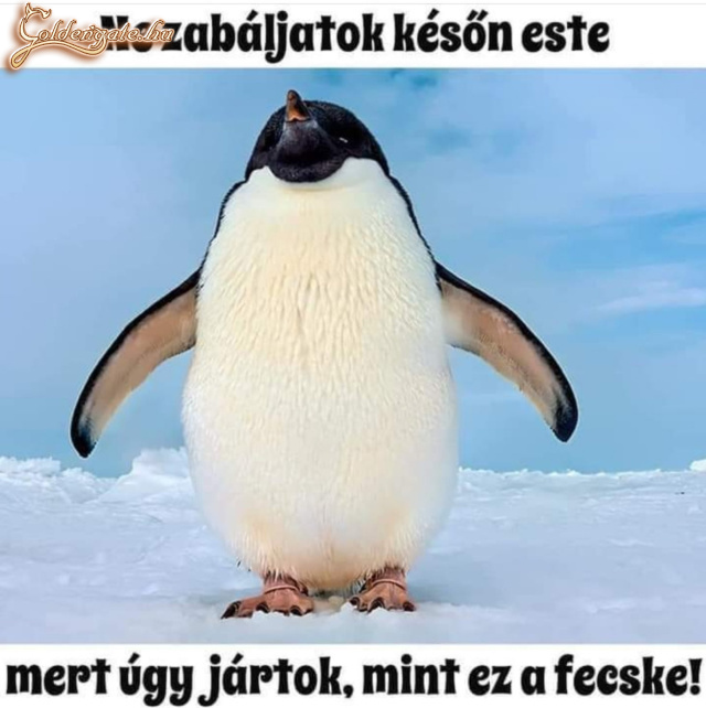 Esti nasi