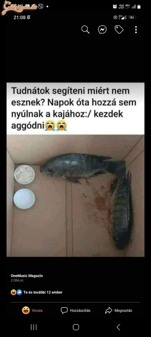 Tud valaki segíteni?