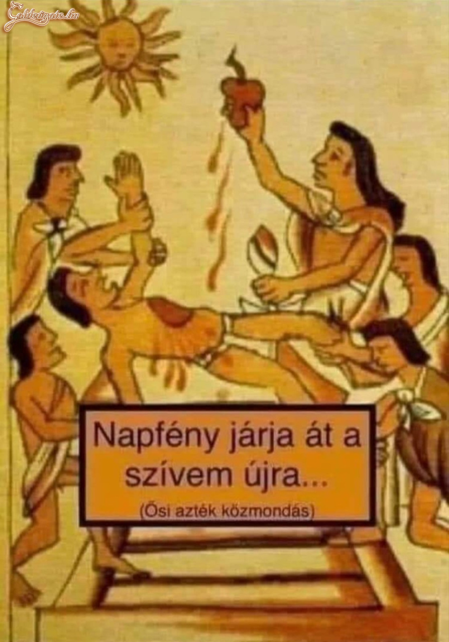 Népszerű slágerek