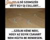 vákony fal 