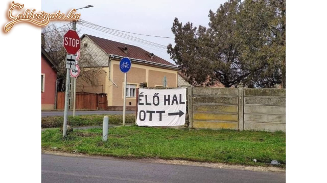 Halvásár