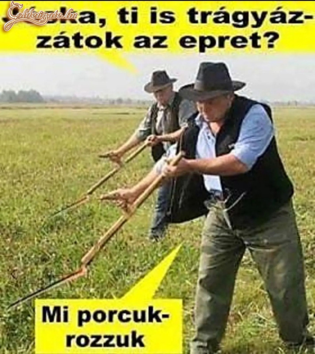 Jóska, ti is....?