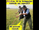 Jóska, ti is....?
