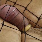 Necc harisnya  - 27. kép